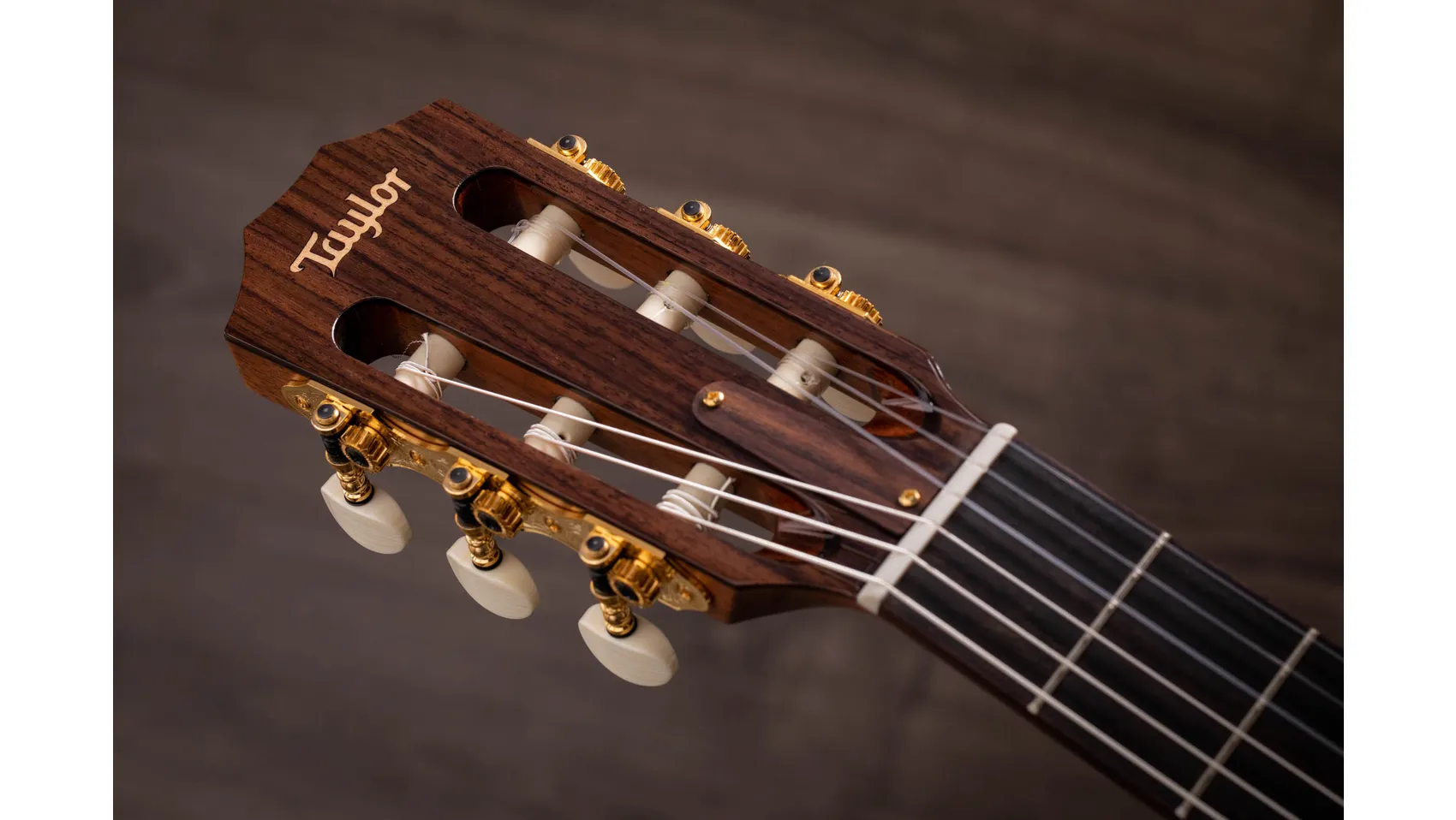 Jason Mraz Signature Model (JMSM) Indian Rosewood Acoustic